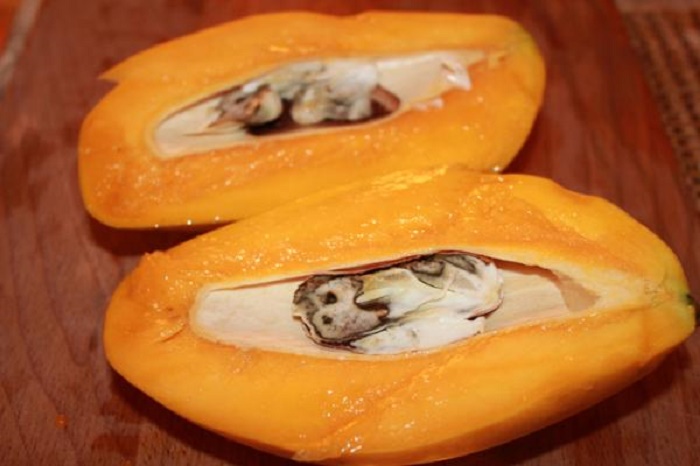 Germinate and plant a mango