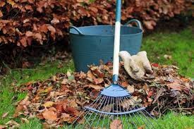 Three Jobs to Get you Started on your Garden this Autumn
