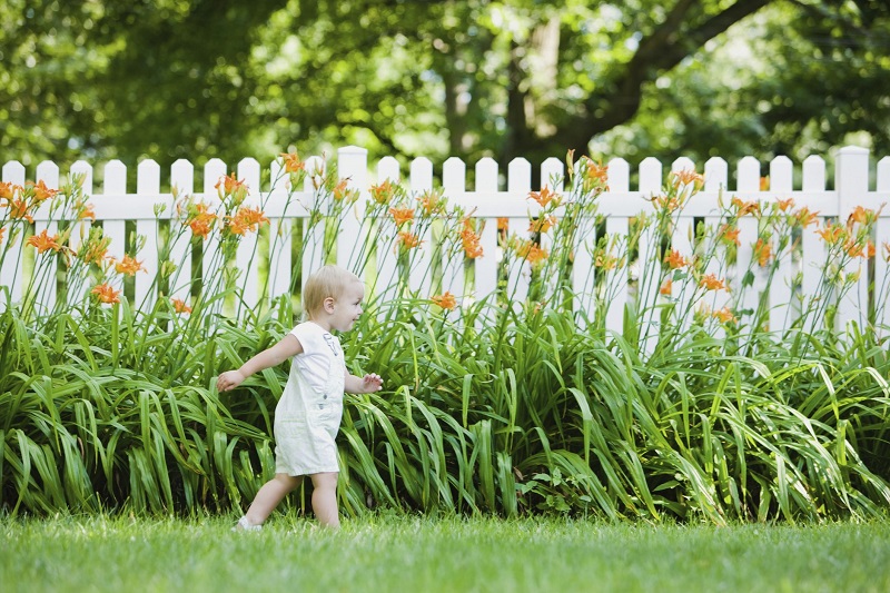 How to fence a garden: ideas and advice