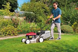 Maintenance needs for your petrol mower