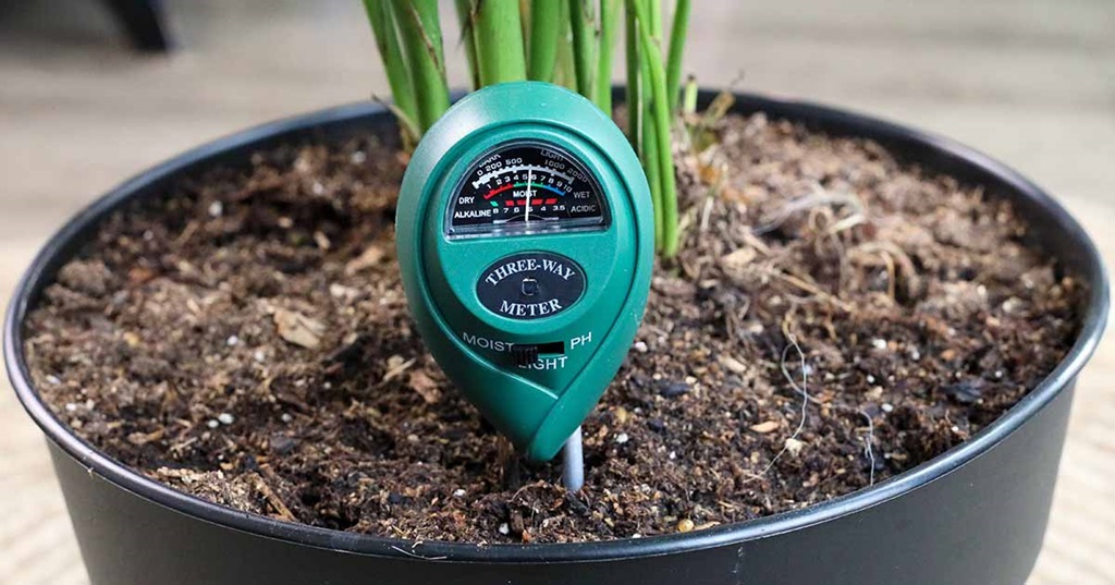 How to Use Soil Moisture Meter?