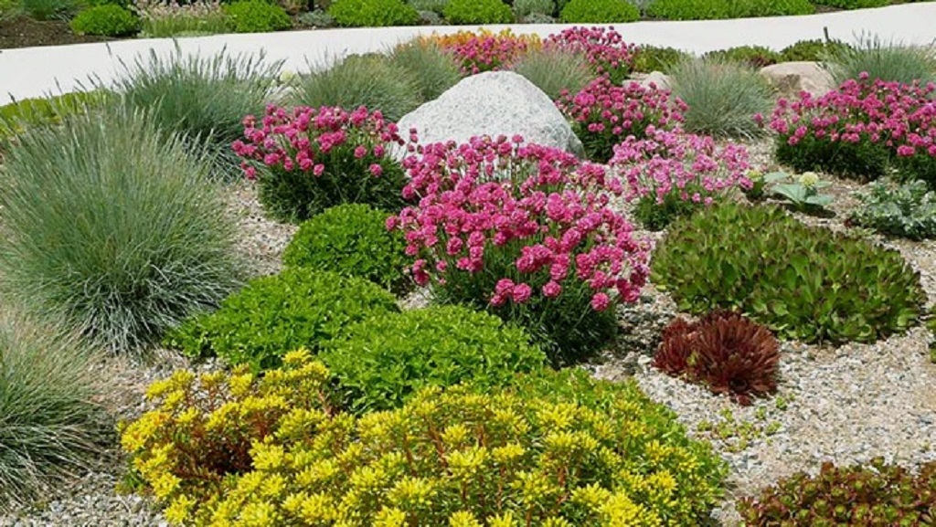 How do I start a drought-proof garden