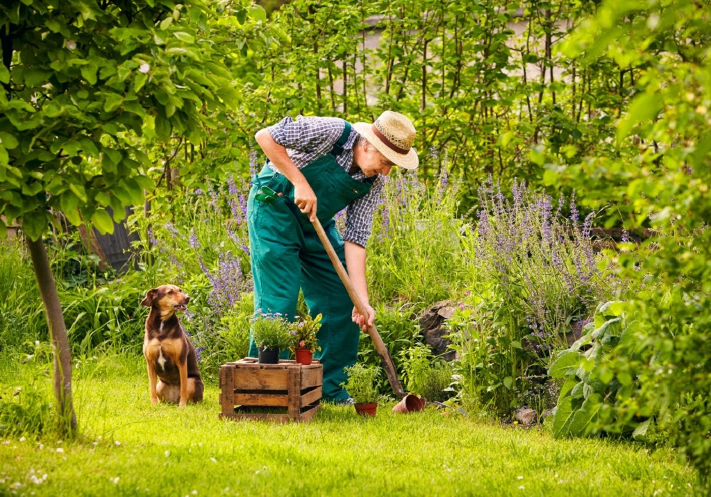 Is no-dig gardening suitable for large-scale farming